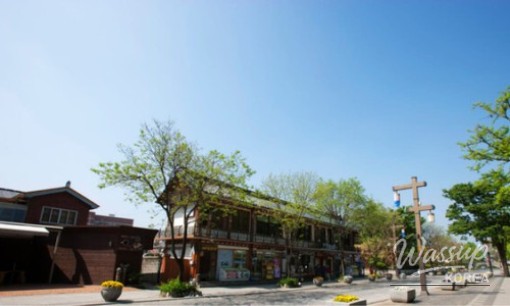 Discover the Beauty of Suncheon Bay National Garden_12