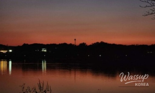 Discover the Beauty of Suncheon Bay National Garden_06
