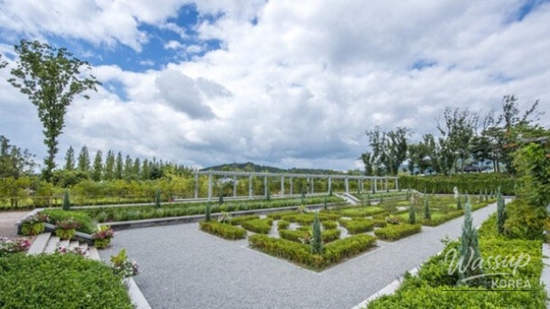 Discover the Beauty of Suncheon Bay National Garden_05