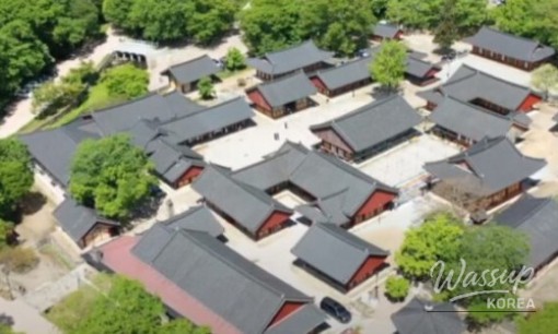 Discover the Beauty of Suncheon Bay National Garden_09
