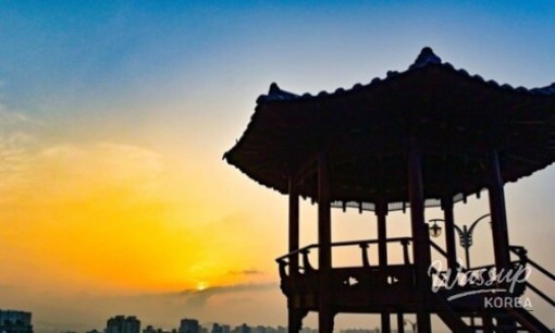 Discover the Beauty of Suncheon Bay National Garden_07