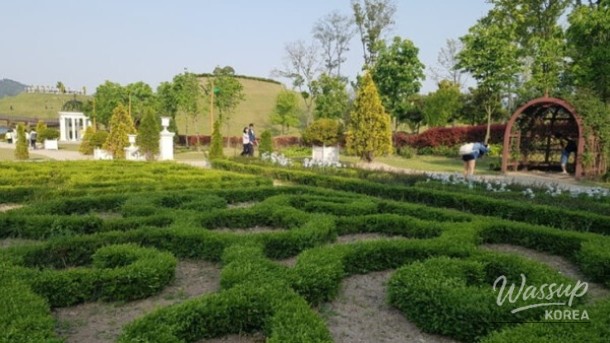 Discover the Beauty of Suncheon Bay National Garden_04