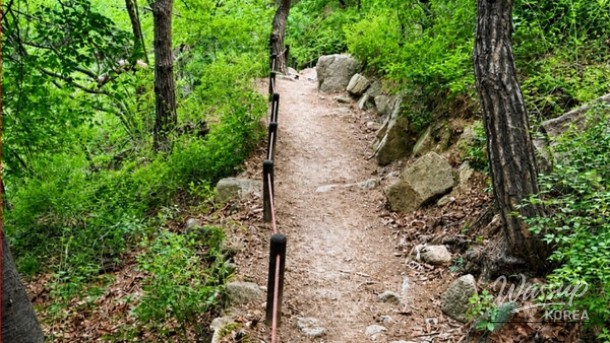Experience Nature in the Heart of Seoul: A Hidden Gem for Spring_02