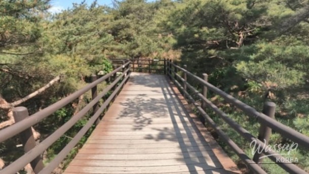 Experience Nature in the Heart of Seoul: A Hidden Gem for Spring_01