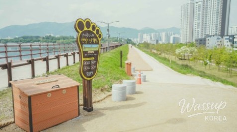 Discovering Nammaeji Park: A Cultural Oasis in Gyeongsan_02
