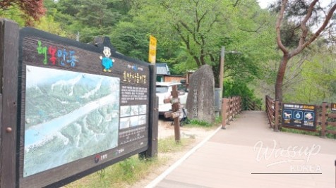 Spring Strolls Along the Andong Lakeside Trail_05
