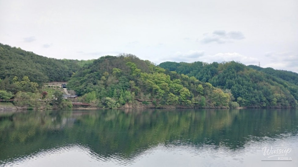 Spring Strolls Along the Andong Lakeside Trail_03