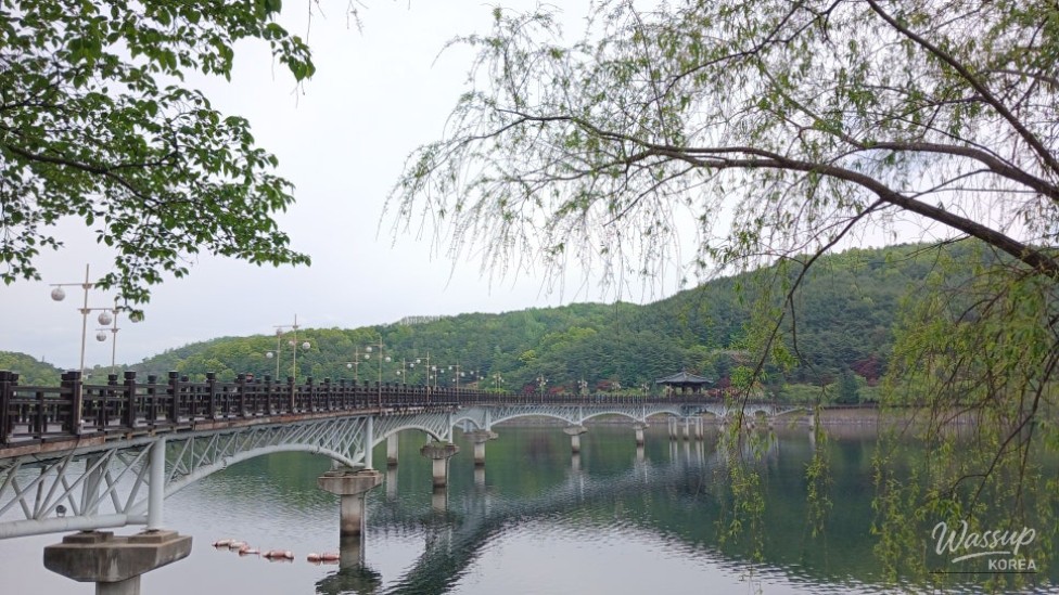 Spring Strolls Along the Andong Lakeside Trail_01