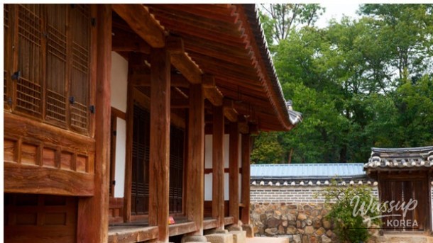 Exploring the Tranquil Pine Forests of Yunggunneung in May_05