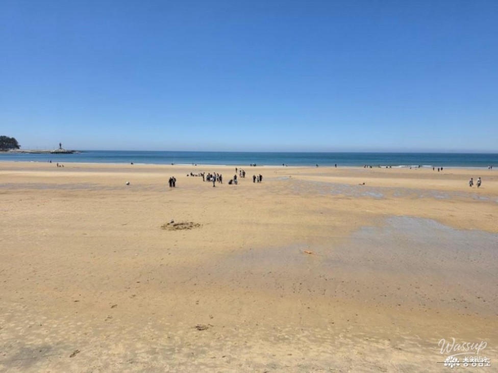 A Preview of Summer at Mallipo Beach and Observation Deck_06