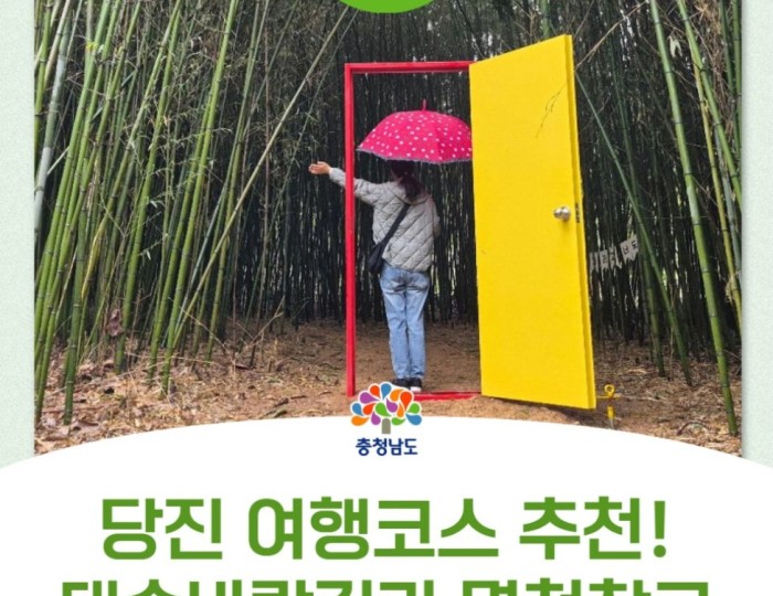 A Serene Walk in the Bamboo Forest of Myeoncheon float