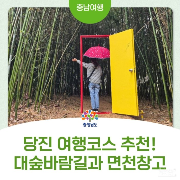 A Serene Walk in the Bamboo Forest of Myeoncheon3761