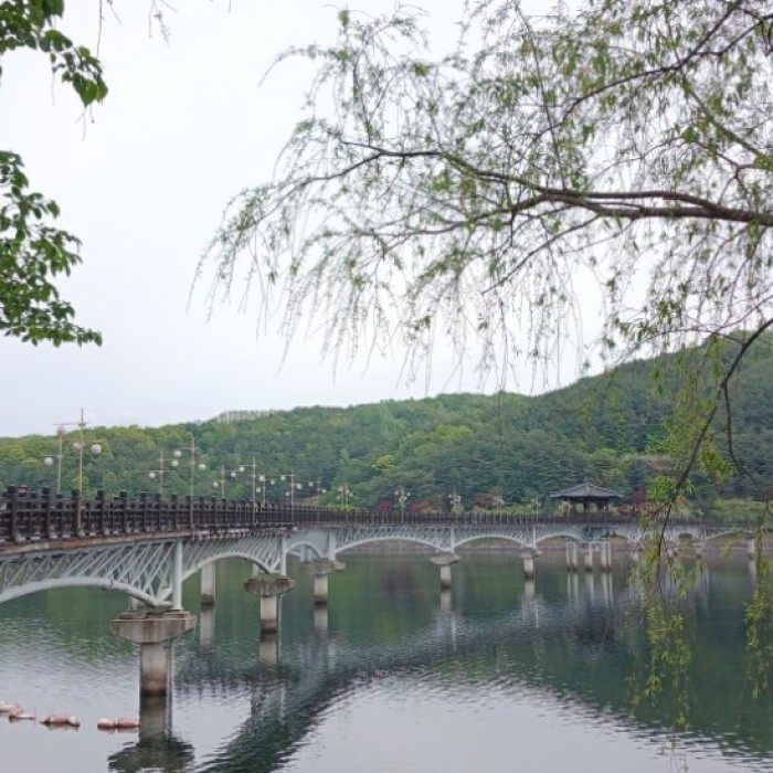 Spring Strolls Along the Andong Lakeside Trail1825