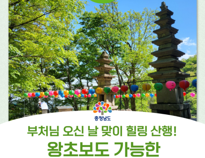 Exploring the Nammae Pagoda and Sangwonam Temple float