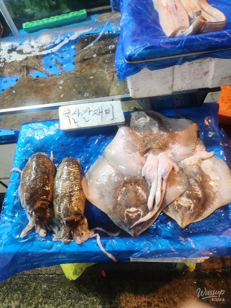 Exploring Seosan Dongbu Market_12