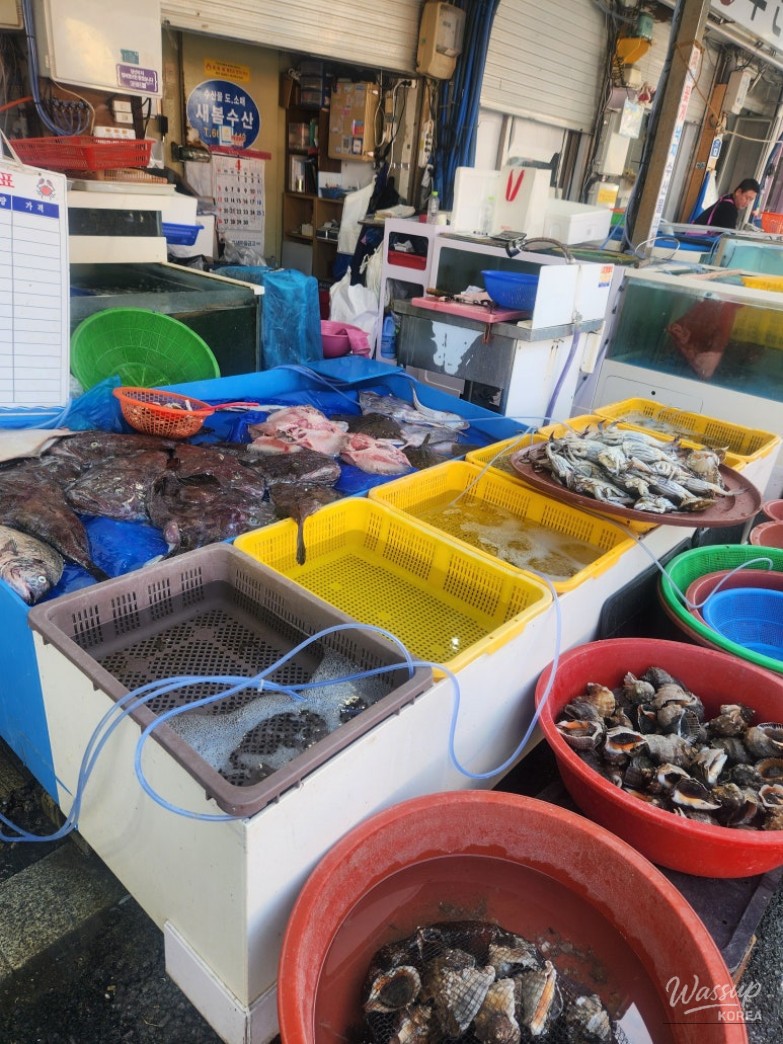 Exploring Seosan Dongbu Market_15