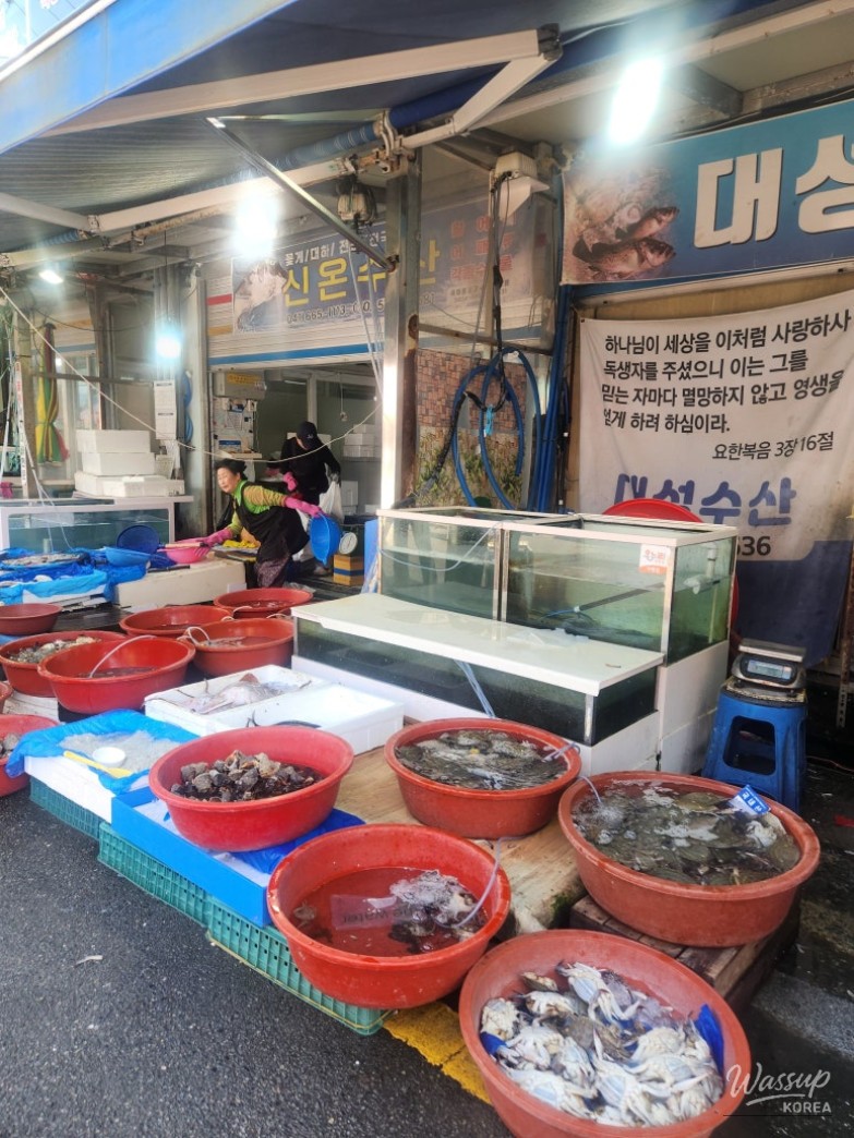 Exploring Seosan Dongbu Market_14