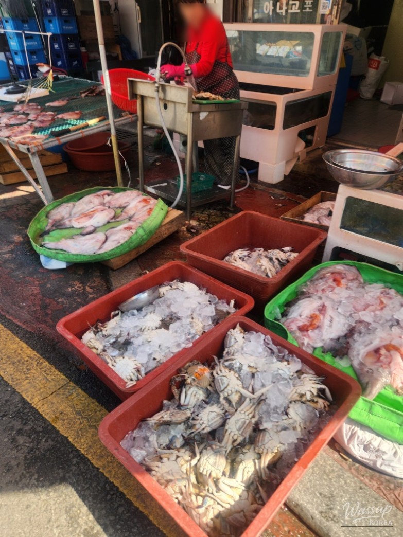 Exploring Seosan Dongbu Market_17
