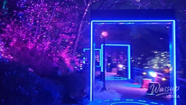 Experience the Enchantment of Tongyeong's Nighttime Digital Theme Park_05