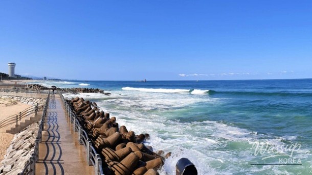 Exploring Gangmun Beach: A Hidden Gem in Gangneung_01