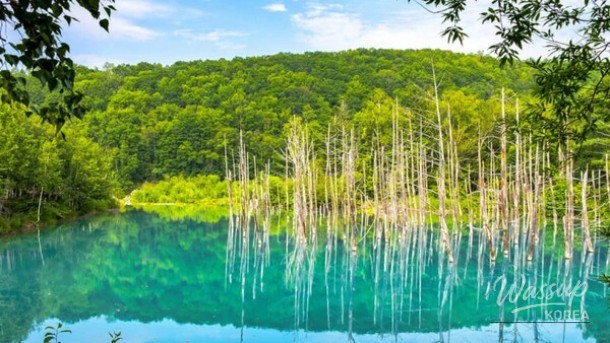 Trends in Travel: Discovering Japan's Charming Small Towns_01
