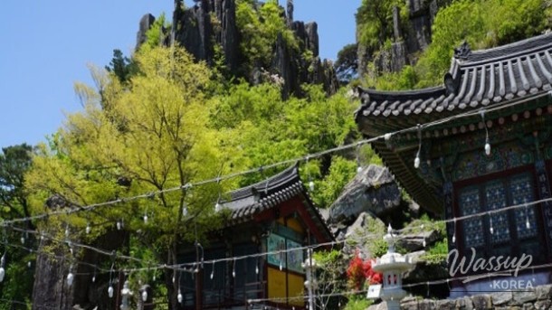 Experience Serenity at Donghwasa Temple in Palgong Mountain_03