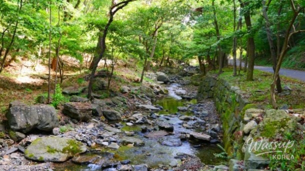 Experience Serenity at Donghwasa Temple in Palgong Mountain_05