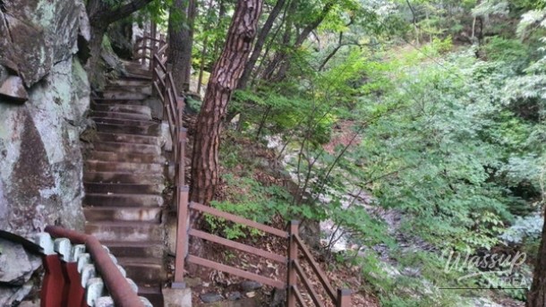 Healing Forest of Geoje: A Nature Retreat_03