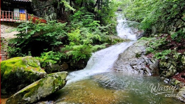 Healing Forest of Geoje: A Nature Retreat_02