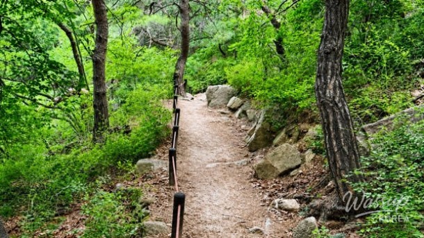 Healing Forest of Geoje: A Nature Retreat_04