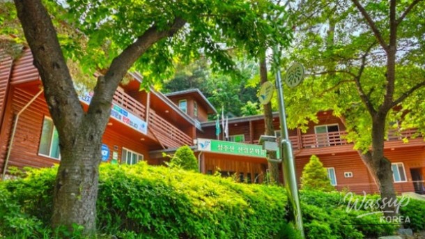 Healing Forest of Geoje: A Nature Retreat_05