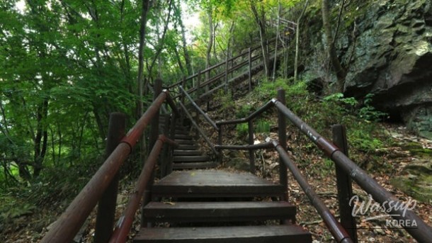 Healing Forest of Geoje: A Nature Retreat_01