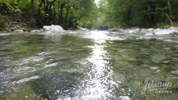 Exploring the Emerald Beauty of Heungjeong Valley in May_02