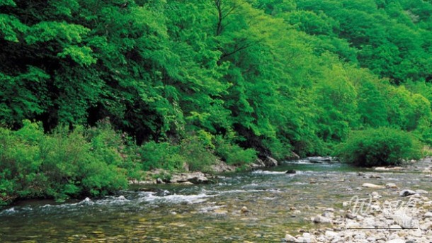 Exploring the Emerald Beauty of Heungjeong Valley in May_04