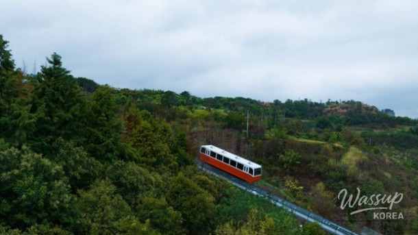Experience the Thrills of Geochang Forest Leisure Park in May_03