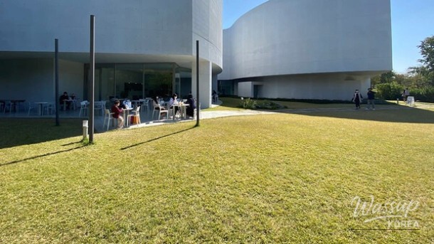 Discovering the Beauty of Mimesis Art Museum in May_03
