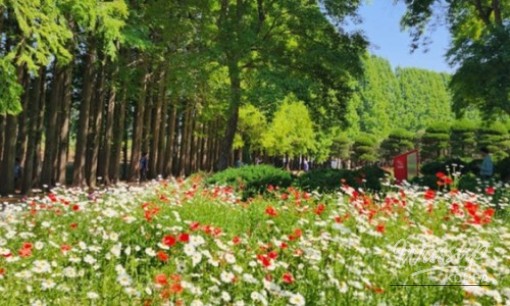 Discover the Seoul International Garden Expo 2026_09