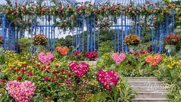 Discover the Seoul International Garden Expo 2026_05