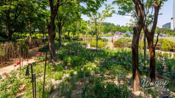 Discover the Seoul International Garden Expo 2026_02