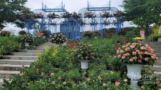 Discover the Seoul International Garden Expo 2026_04
