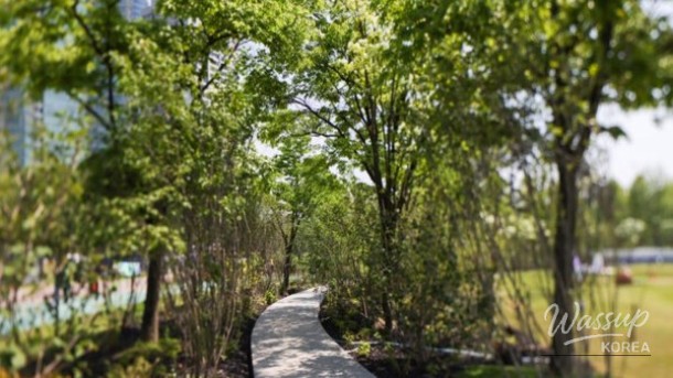 Discover the Seoul International Garden Expo 2026_03