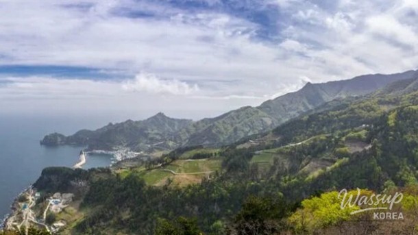 Discover the Hidden Gem of Ulleungdo Island_04