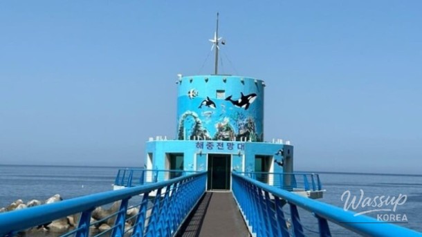 Discover the Hidden Gem of Ulleungdo Island_02