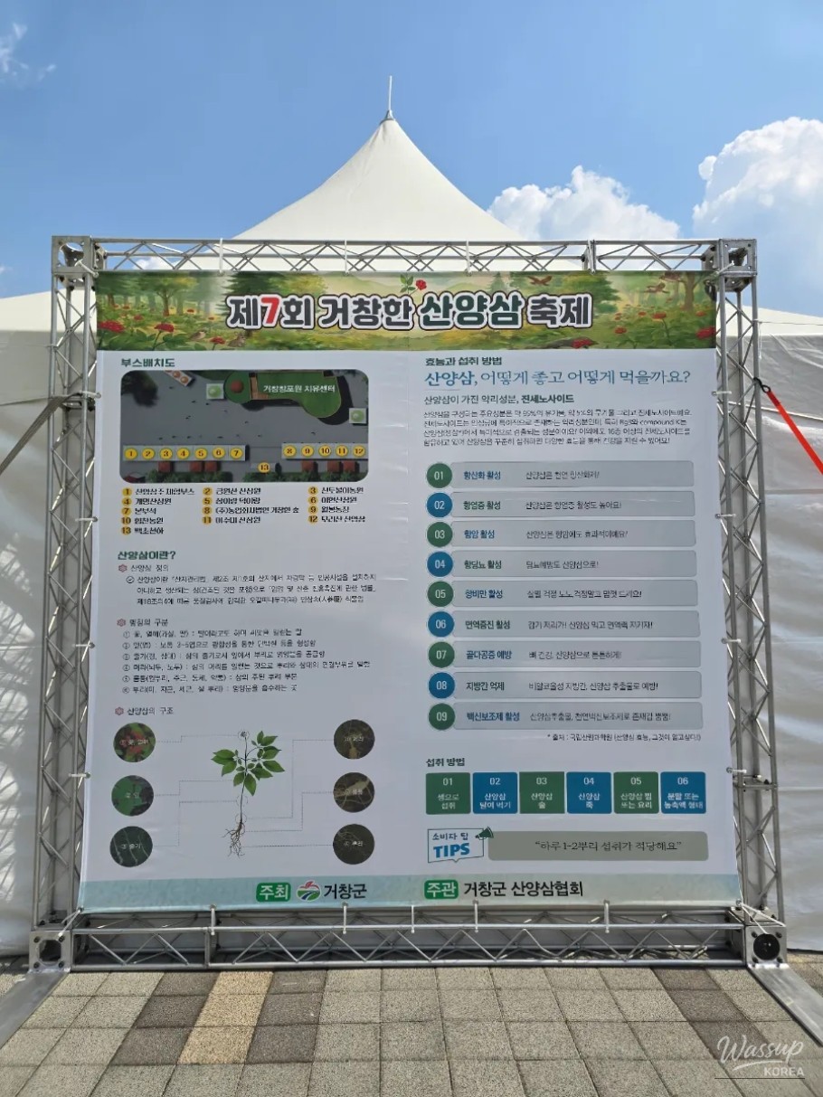 The 7th Geochang Wild Ginseng Festival and Arimia Flower Festival_02