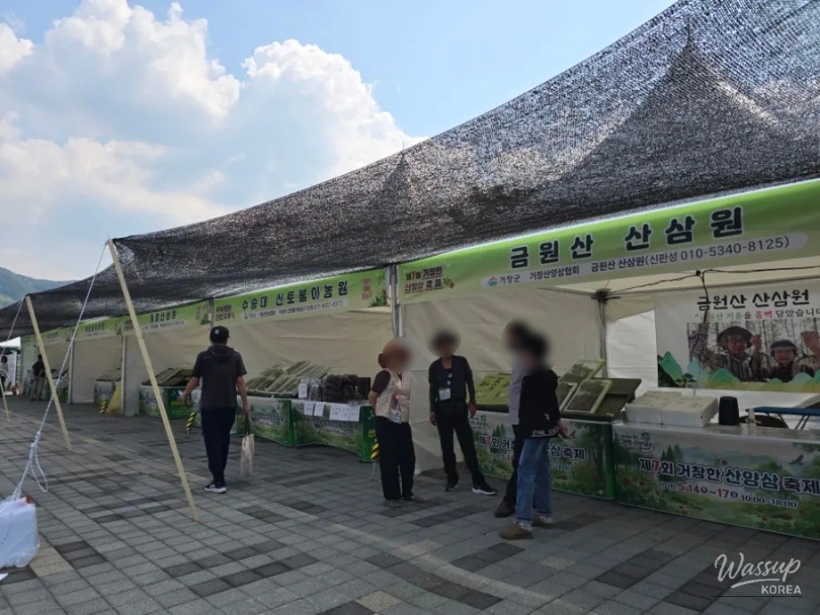 The 7th Geochang Wild Ginseng Festival and Arimia Flower Festival_05