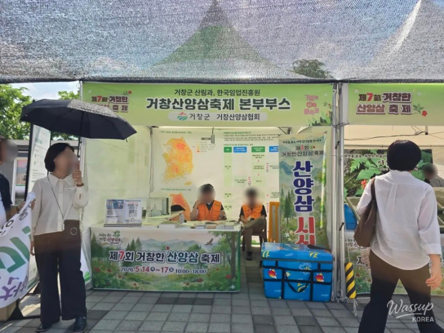 The 7th Geochang Wild Ginseng Festival and Arimia Flower Festival_03