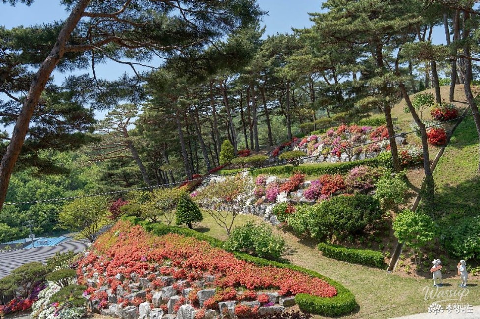 Exploring the Beauty of Hongseong Solbaram Theme Park_05