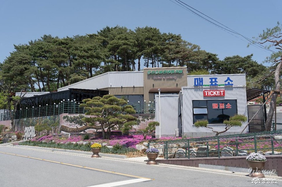 Exploring the Beauty of Hongseong Solbaram Theme Park_03