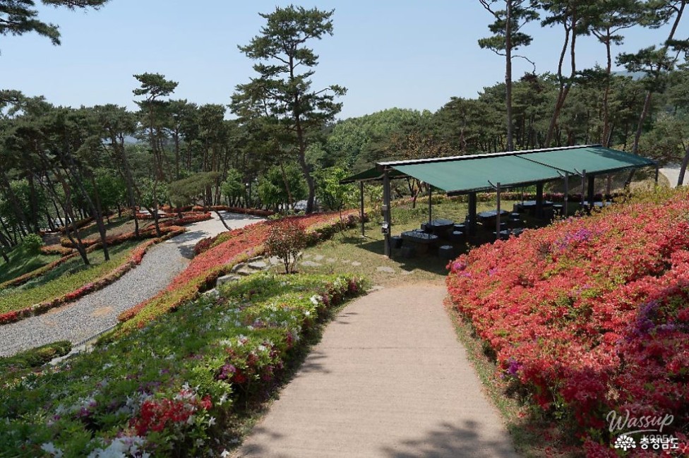 Exploring the Beauty of Hongseong Solbaram Theme Park_04