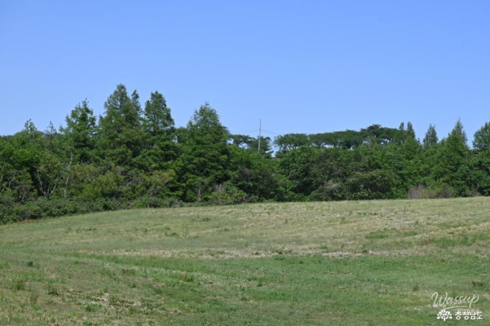 Exploring Seosan Hanwoo Ranch Trail_05